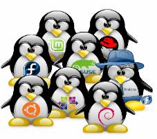 computer science digital web developer jobs java C++ C# big data