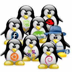 computer science digital web developer jobs java C++ C# big data
